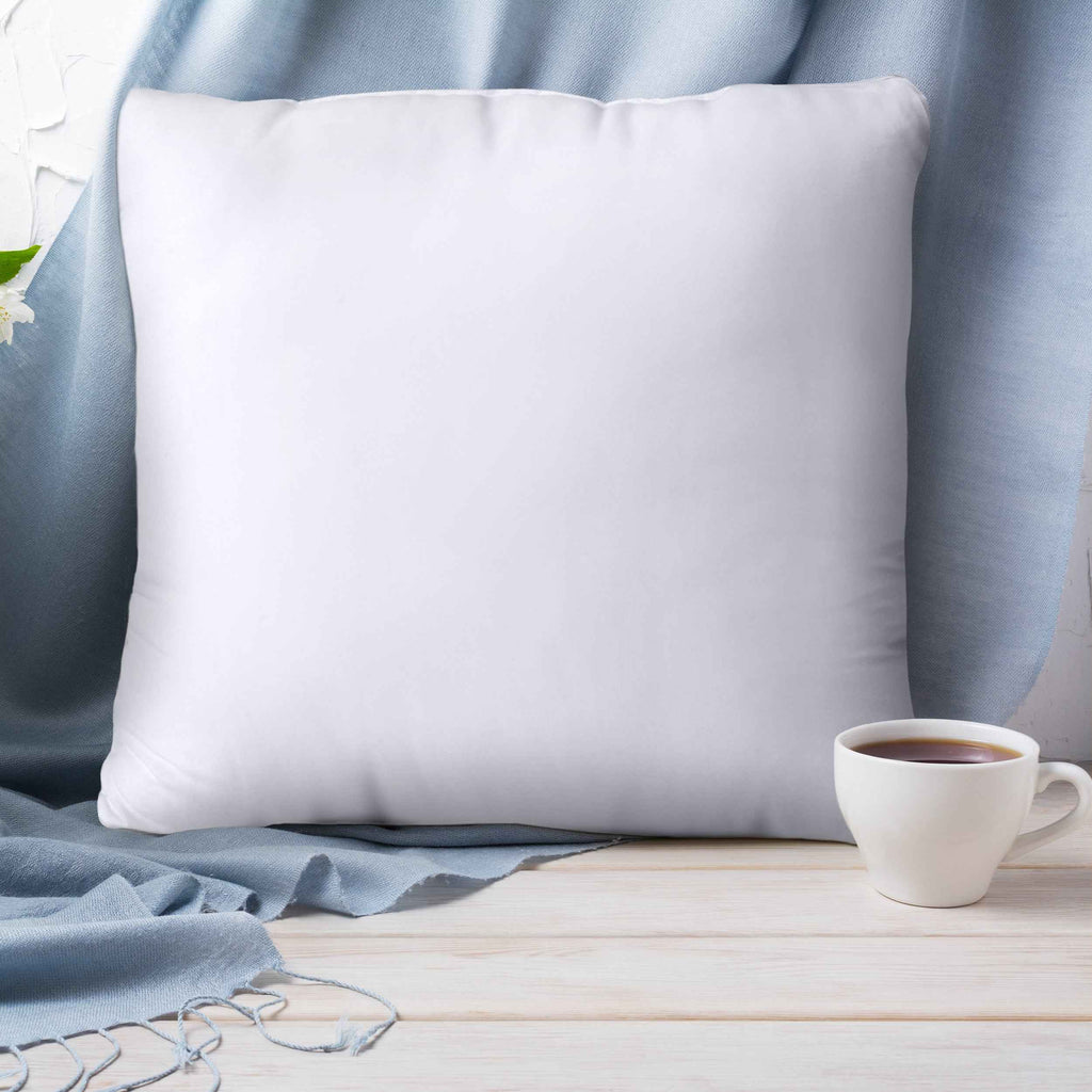 Calibrewise Throw Pillows Insert (Pack of 2, White) - 28 x 28 Inches Bed and Couch Pillows - Indoor Decorative Pillow